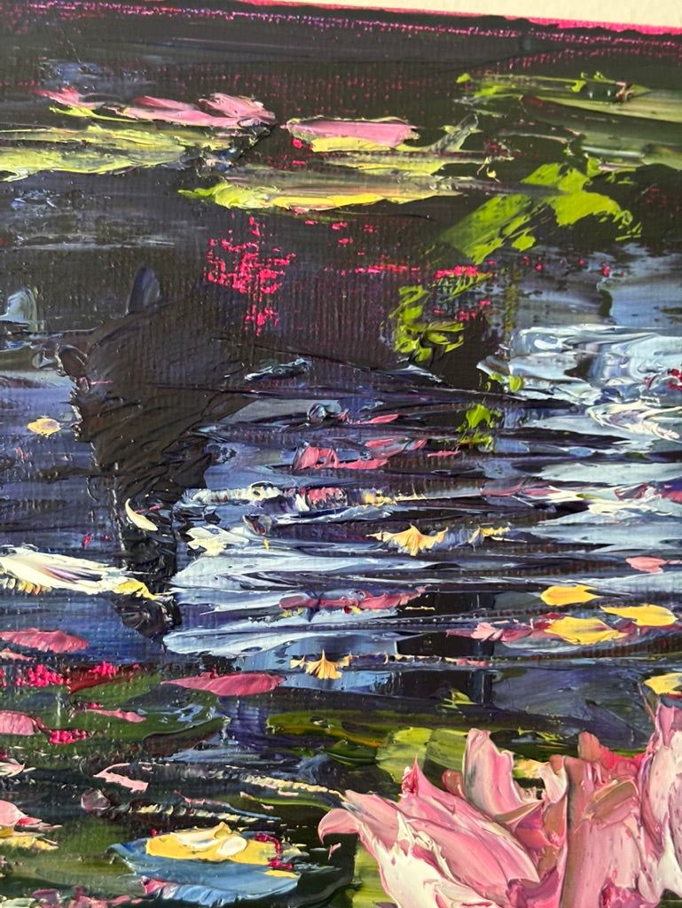 Pond Lillies