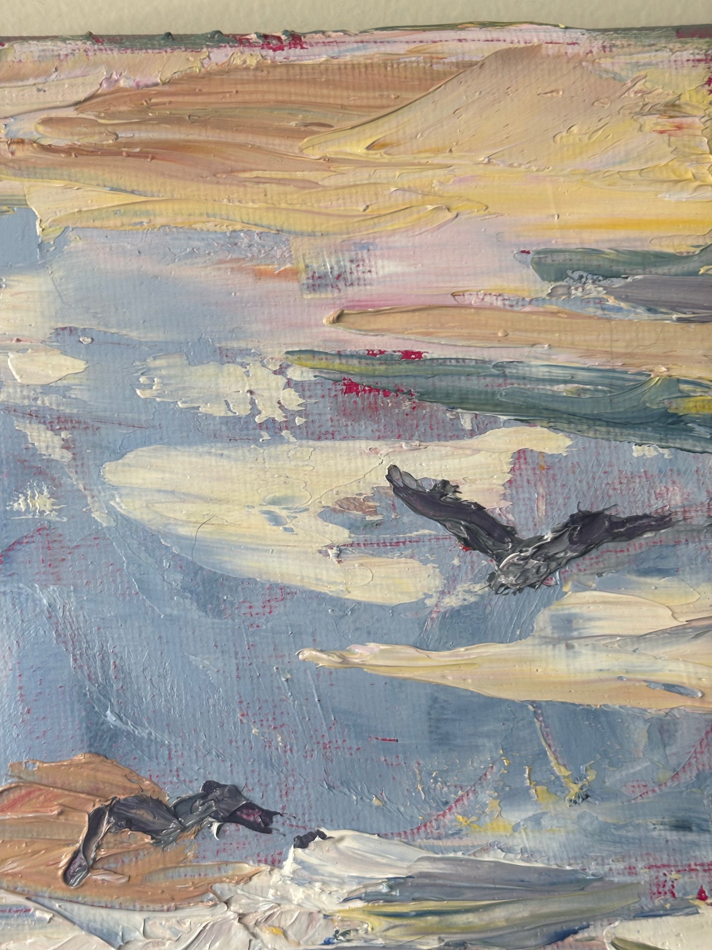 Gulls